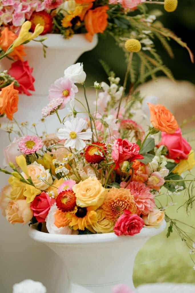 White urns containing bright summery wedding flowers. The flowers are loose and arrangement at varying heights. The urn arrangement contains dahlias, paper daisies, roses, snapdragons, cosmos, asters, freesias, sunflowers and Billie buttons in pink, yellow, orange, coral, salmon, peach, coral and white colours.