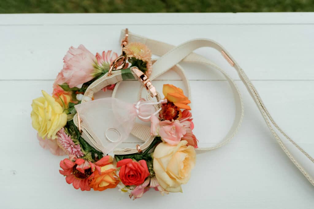 Dog collar decorated with summery, bright flowers holding the wedding rings for the ceremony - with white leash attached