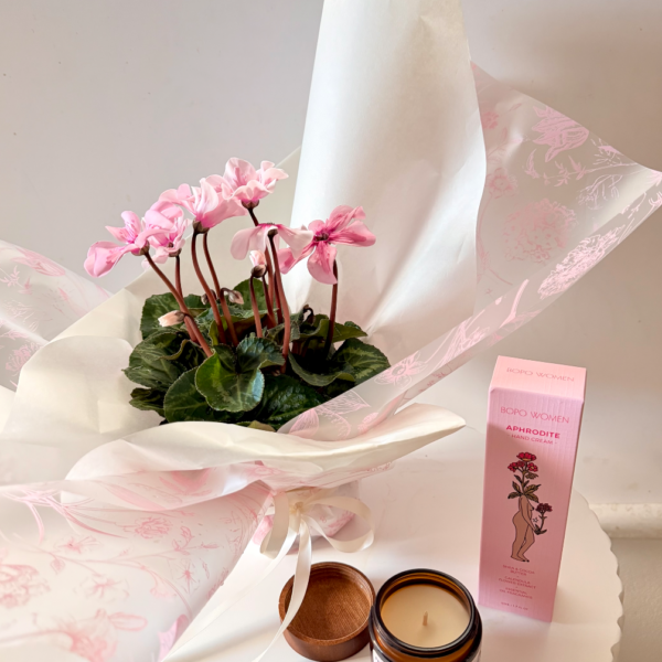 Evergreen Glow Hamper